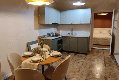 Apartament Premium cu 2 Camere, parter, Pia?a Unirii - 6