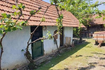 Casă cu 3 camere în Fădimac - 8