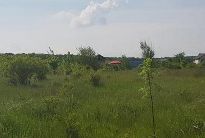 Ciolpani, zona Cimitir Britanic, stradal - 17