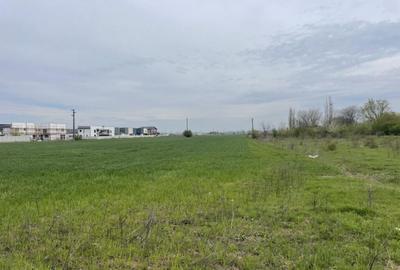 Domne?ti, Str Foi?orului, 11470mp, deschidere 36ml, utilit - 2