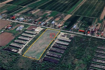 Teren de 10000 mp, în Butimanu - 7