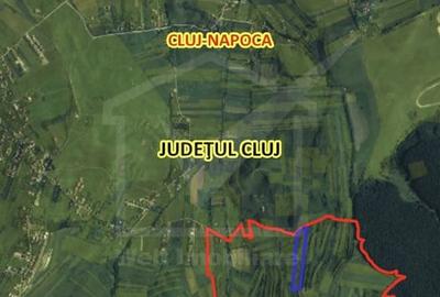 Teren agricol extravilan de 24280 mp, în Sopor - 2