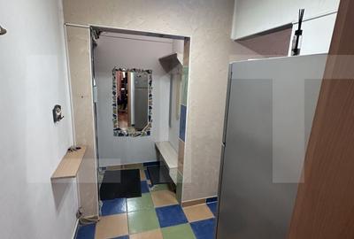 Apartament cu 2 camere în Șega - 2