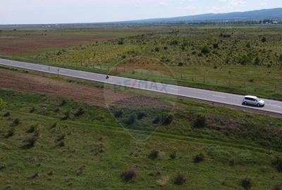 Teren Bolotesti pe soseaua Vrancei - 5