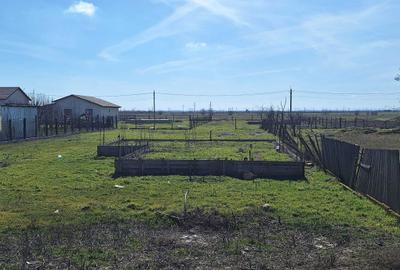 Teren de 1000 mp, în Vădeni - 6