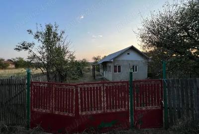 Casa de vanzare olt spineni