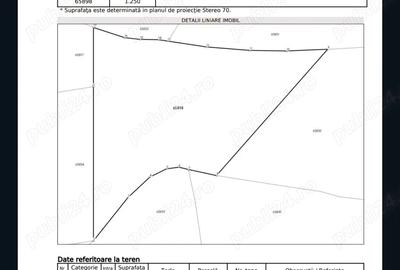 Casă cu 4 camere cu Teren 2650 Mp în Țârdenii Mari - 5