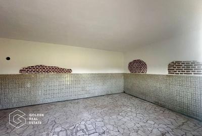 Teren intravilan 71.000mp, Barsa, Renumita Fabrica de caramida si casa 4 camere - 9