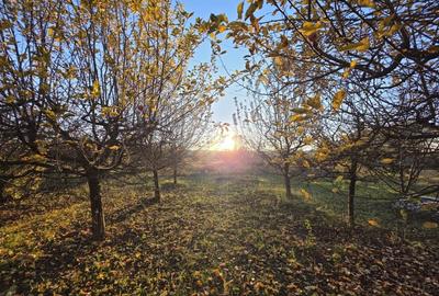 CASĂ P+E+M, 2340 mp teren - VALEA MĂRULUI - 18