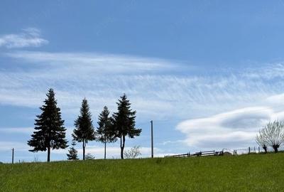 Teren de 2100 mp, în Putna - 5