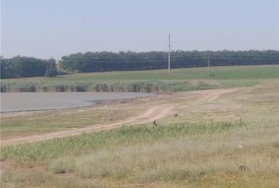 Teren de 3000 mp, în Murighiol - 4