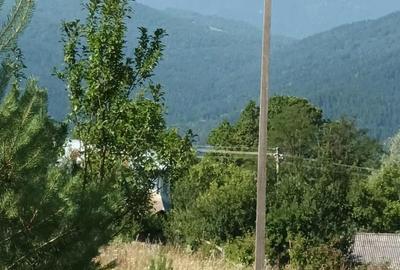 Teren de 1285 mp, în Hangu