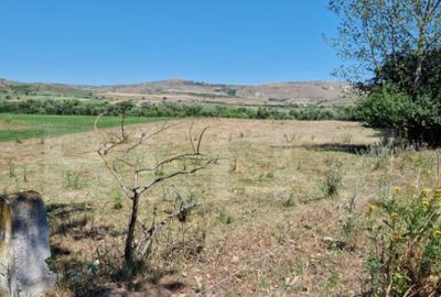 Teren de 5008 mp, în Iara