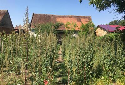 Casă cu 6 camere cu Teren 3444 Mp în Căstău - 2