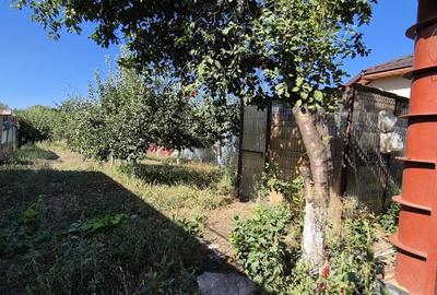 Casă cu 2 camere cu Teren 709 Mp în Roata de Jos - 4