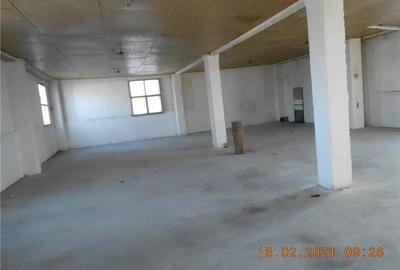 Spațiu comercial, de 800 mp, în Ineu - 7