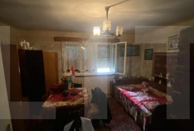 Casa tradi?ionala cu teren generos Belin - 10