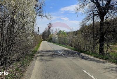 Teren de 10000 mp, în Vânători-Neamț - 1
