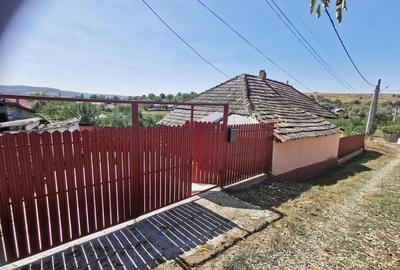 Casă cu 2 camere în Dumești - 4
