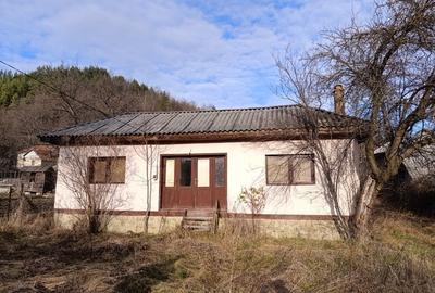 Casa 3 camere + Teren 2632mp Câmpuri, Vrancea - 2