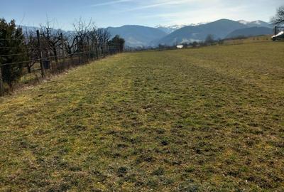 Spațiu comercial, în Rășinari - 5