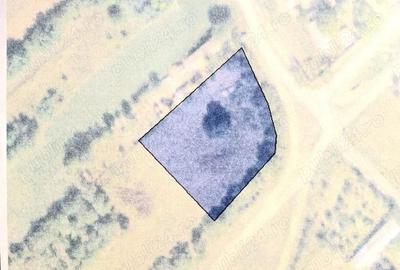 Teren de 2466 mp, în Vieru - 2
