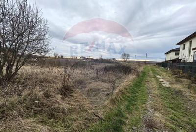 Teren de 500 mp, în Săcălășeni - 3