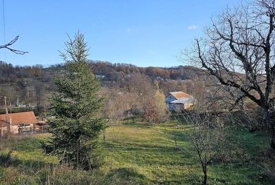 Casă cu Teren 6772 Mp în Ursoaia - 10