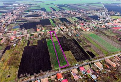 Casă în Dorobanți cu livadă + curte 2500 mp - 3