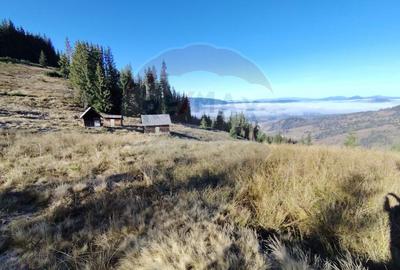 Teren 31,461mp Panaci / Prelungirea Ialovita - 18