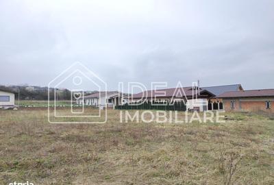 Spațiu comercial, în Roșia - 3