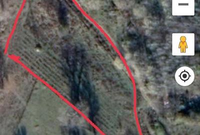 Teren de 5000 mp, în Ciuta - 3