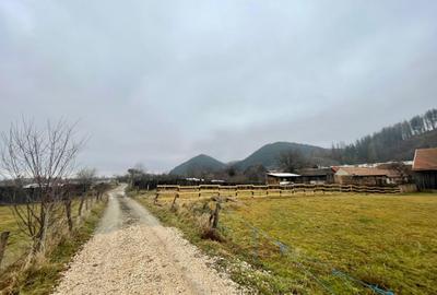 Teren 950mp Rasnov, zona de case ! - 3