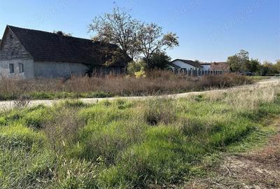 Teren de 22000 mp, în Livada - 18