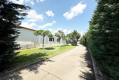 Hala de inchiriat in zona Sanmartin, Oradea