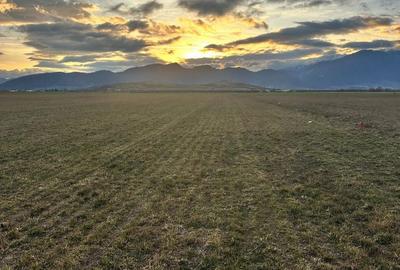 Spațiu comercial, în Central - 3