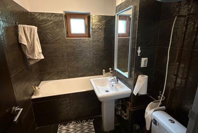 Apartament cu 2 camere decomandat, mobilat în Drumul Sării - 8