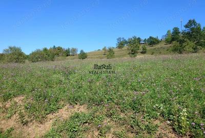 Teren de 8757 mp, în Luncoiu de Sus - 10