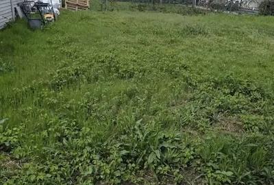 Casă cu 4 camere în Tamași - 6