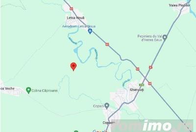 Teren extravilan arabil Ghimpati, ID: R1964895 - 4