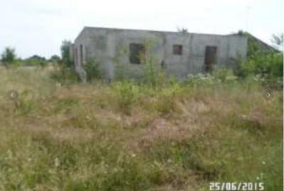 Teren Construcții intravilan de 3200 mp, în Clinceni - 4