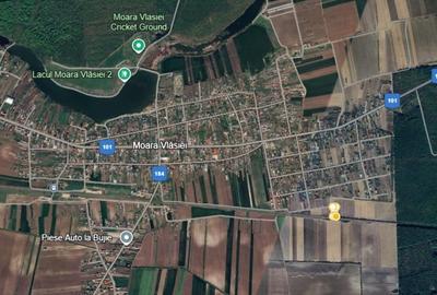 De vanzare | Teren 1500 mp | Moara Vlasiei - 4