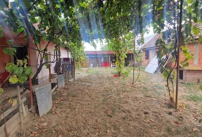 Vand casa ?i teren (2158 mp)Mo?ni?a Veche - 4