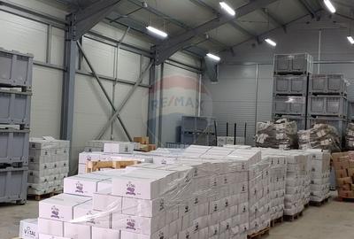 Spațiu industrial, de 292 mp, în Dumbrăveni - 10