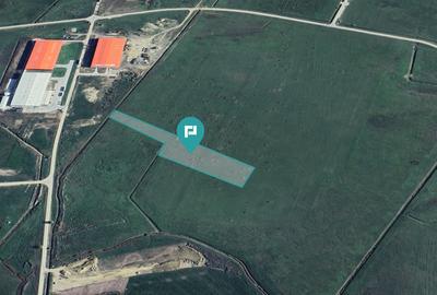 Teren agricol 1 ha, Sânandrei, - 1