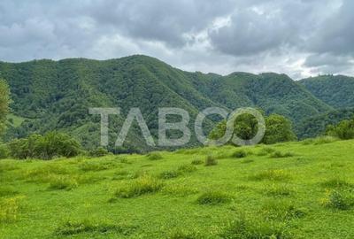 Teren intravilan de vanzare in Martinia de sus - 6