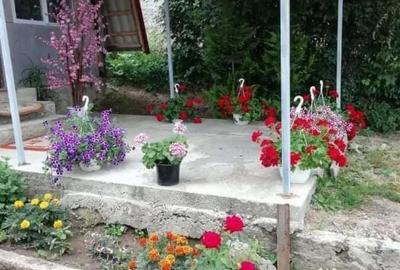 Casă cu 5 camere în Bonț - 2