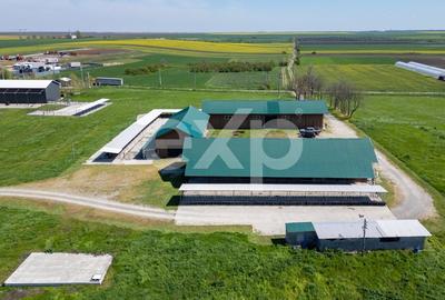 Teren Construcții intravilan de 105000 mp, în Crânguri - 18