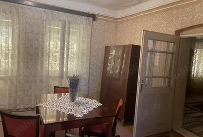 Casă cu 5 camere în Peciu Nou - 4