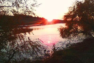 Casă cu 3 camere cu Teren 596 Mp în Iepurești - 14